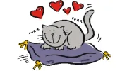 Cat Hospital of Vero Beach