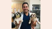 Oak Tree Animal Hospital