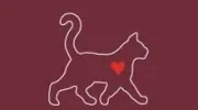 Tacoma Cat Hospital