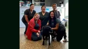 Paws & Claws Animal Hospital
