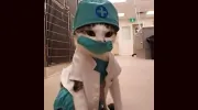 Kingston Veterinary Hospital
