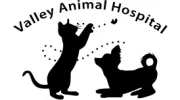 Valley Animal Hospital