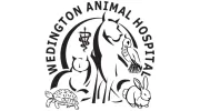 Wedington Animal Hospital