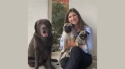Prairie Village Pet Hospital