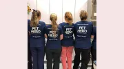 Diablo View Veterinary Medical Hospital