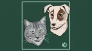 Oakton-Vienna Veterinary Hospital