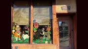 Park Slope Veterinary Care