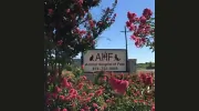 Animal Hospital of Fate