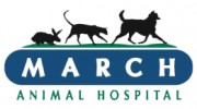 March Animal Hospital