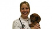 Traditions Animal Hospital