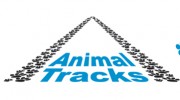 Animal Tracks