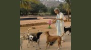 Holistic Vet