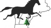 New England Equine Medical & Surgical Center