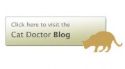 Cat Doctors