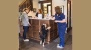 Animal Medical Center of Chicago