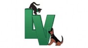 Legacy Village Veterinary Clinic