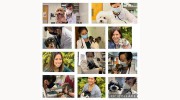 Arguello Pet Hospital