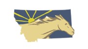 Montana Equine Medical and Surgical Center