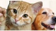 Mast Boulevard Pet Care Center