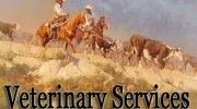 Veterinary Services - Leroy Hoversland