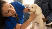 Canandaigua Veterinary Hospital