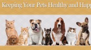 Huntington Pet-Vet