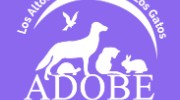 Adobe Animal Hospital