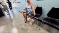 Heartworm Testing & Prevention