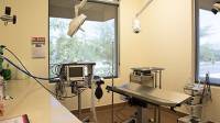 Pet Surgery