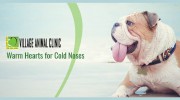 Village Animal Clinic
