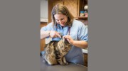 Pine Bluff Animal Hospital - Larry Johnson