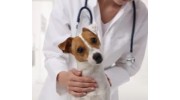 Holistic & Therapy Services