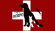 Orange County Emergency Pet Clinic