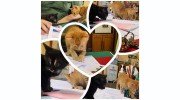 Cimarron Animal Hospital - Barbara Swahlen