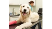 Surgery Services