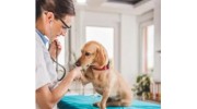 Diagnostic Services