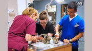 Hope Mills Road Animal Hospital