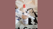 Cat Care Clinic