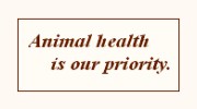 Animal Medical Center