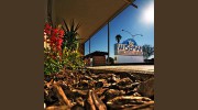 Wiseman Animal Hospital - Joseph Trueba