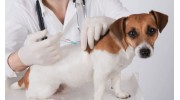 Pet Vaccinations