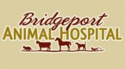 Bridgeport Animal Hospital - Jeff Williams