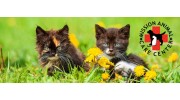Pet Dentisty