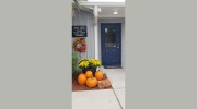 Voss Road Animal Clinic - Ben Tharpe
