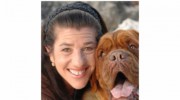 All Animal Clinic
