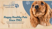 Mansfield Animal Clinic
